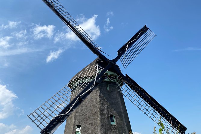 Escape Amsterdam: E-Bike to Zaanse Schans Windmills & Zaandam - Het Twiske, a local recreation area