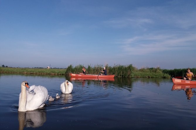 Fresh nose tour with the canoe through the nature near Amsterdam - Timing, transport, and practical planning