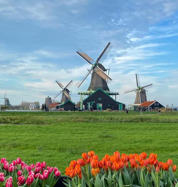 From Amsterdam; Alkmaar Cheese market & Zaanse Schans - The one-hour visit to Zaanse Schans