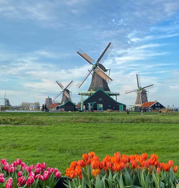 From Amsterdam; Alkmaar Cheese market & Zaanse Schans - Getting to Market 27 from Amsterdam