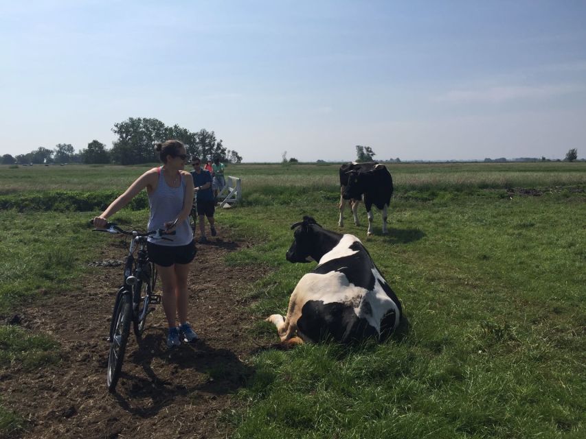 From Amsterdam: Countryside Bike Tour - The ferry across the IJ starts the countryside feeling