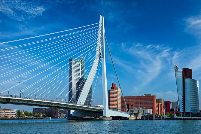 From Amsterdam: Day Trip to Rotterdam, Delft & Hague with Cruise - How the day compares with doing it yourself