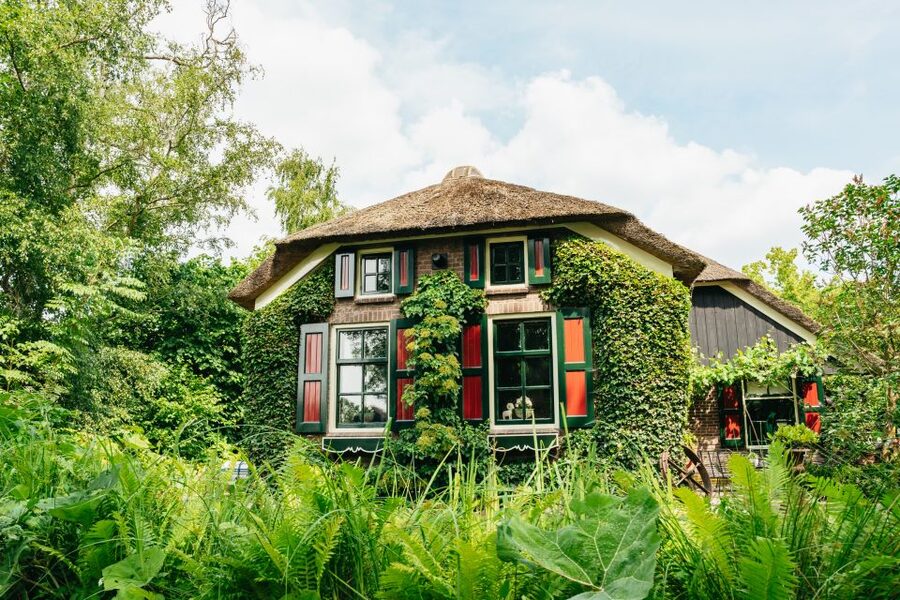 From Amsterdam: Giethoorn & Zaanse Schans Tour w/ Small Boat - Who should book this day trip