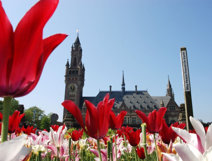From Amsterdam: Guided Trip to Rotterdam, Delft & The Hague - Rotterdam: architecture first, harbor city second