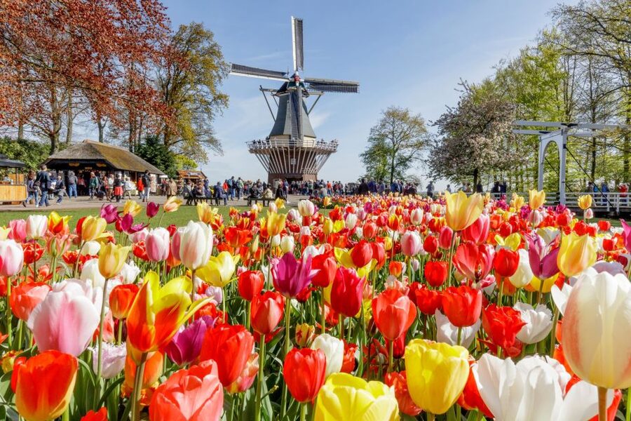 From Amsterdam: Keukenhof and Dutch Countryside Tour - Volendam: cheese, fish, and short free time