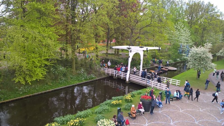 From Amsterdam: Keukenhof and Zaanse Schans Small Group Tour - How the schedule feels over eight hours