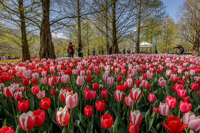 From Amsterdam: Keukenhof Gardens Ticket and Transfer - Timing, crowds, and the return bus