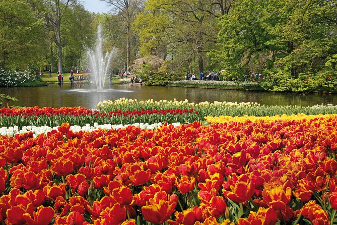 From Amsterdam: Keukenhof Gardens Ticket and Transfer - Is the $41.51 price good value?