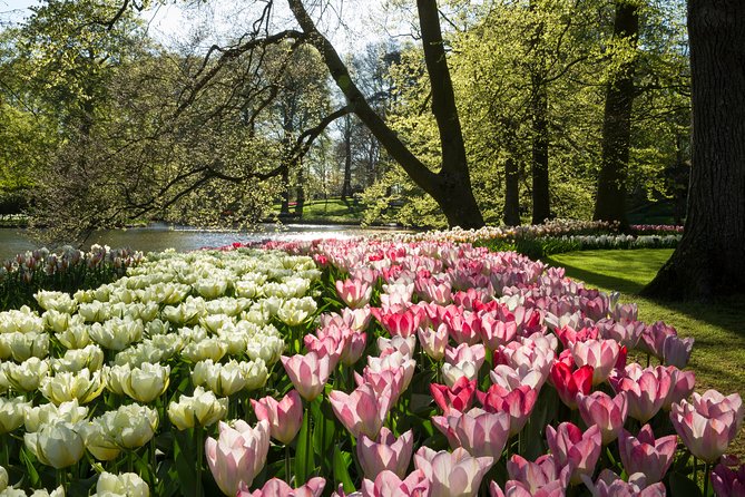 From Amsterdam: Keukenhof Gardens Ticket and Transfer - Who will enjoy this outing most