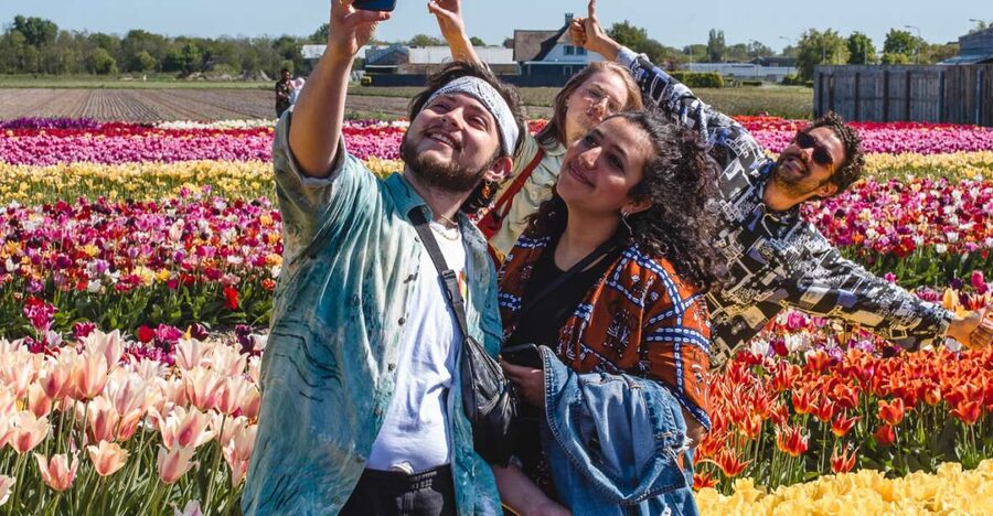 From Amsterdam: Keukenhof Gardens & Tulip Experience Tour - Two sides of Dutch tulip country in one day