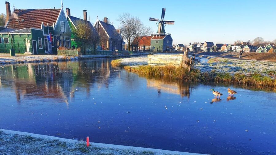 From Amsterdam: Small Group Zaanse Schans and Volendam Tour - Who should book this experience?
