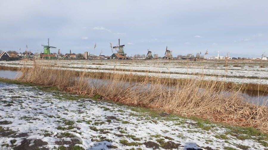 From Amsterdam: Small Group Zaanse Schans and Volendam Tour - Why this half-day trip works well from Amsterdam