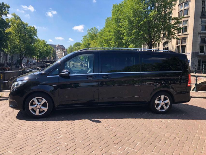 From Amsterdam: The Hague and Delft Sightseeing Tour - Inside the Mauritshuis and its Dutch paintings