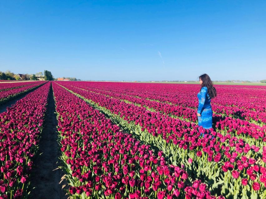 From Amsterdam: Tulip Tour Keukenhof & City Tour Delft - Why Keukenhof makes the morning worthwhile