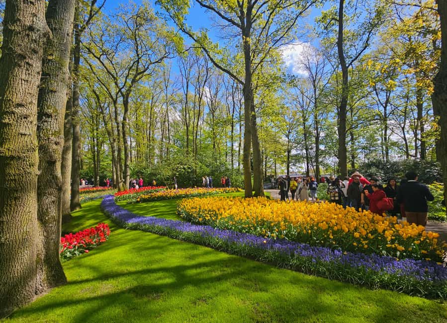 From Amsterdam: Tulip Tour Keukenhof & City Tour Delft - Delft brings a different side of the Netherlands