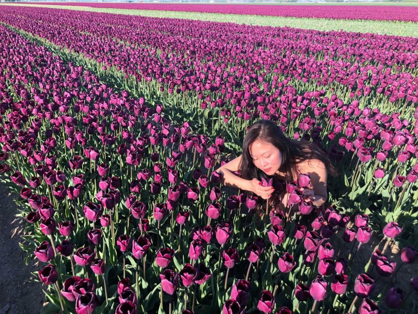 From Amsterdam: Tulip Tour Keukenhof & City Tour Delft - Walking, children, and practical limits