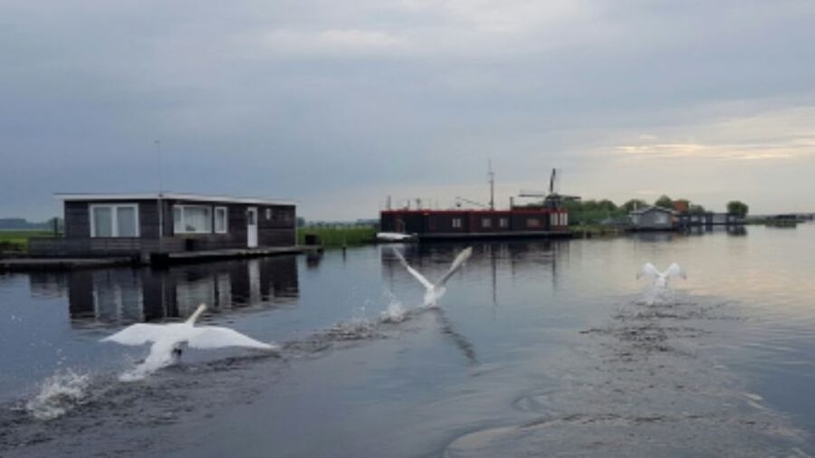 From Katwijk: Kaag Lakes Cruise - Why the Kaag Lakes feel so unmistakably Dutch