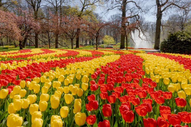 Full-Day Skip the Line Keukenhof and Canal Cruise from Amsterdam - Value, timing, and the listed price