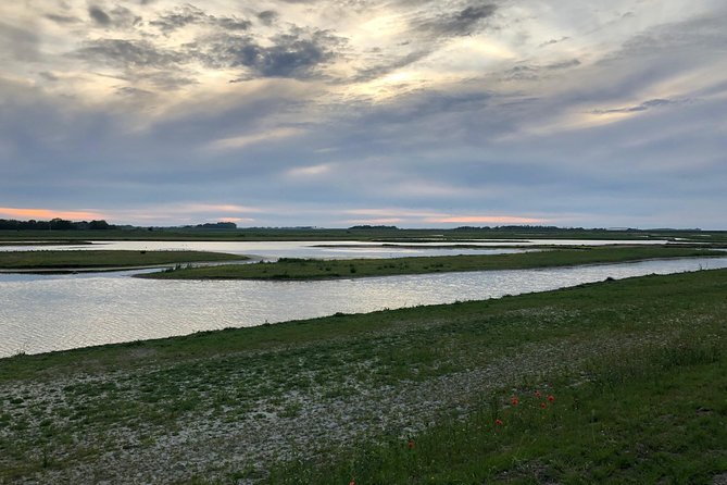Full day tour to Texel - Friesian Islands - from Amsterdam - The optional seal safari