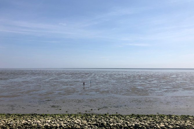 Full day tour to Texel - Friesian Islands - from Amsterdam - What the small group changes
