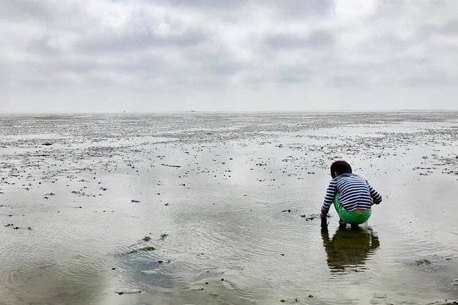 Full day tour to Texel - Friesian Islands - from Amsterdam - What is included, and what you still pay for