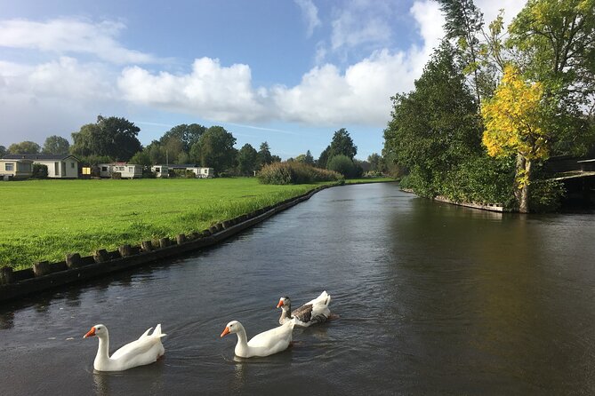 Giethoorn and Zaanse Schans Day Tour Small Group Incl. Boat Ride - Zaanse Schans: windmills with useful context