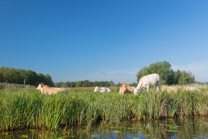 Giethoorn: Highlights Canal Cruise and Sightseeing Village - The Doopsgezinde Church and Albert Mol statue