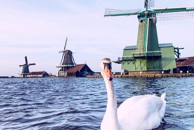 Giethoorn, Private Boat Tour & Zaanse Schans Windmills - Who will enjoy this day most?
