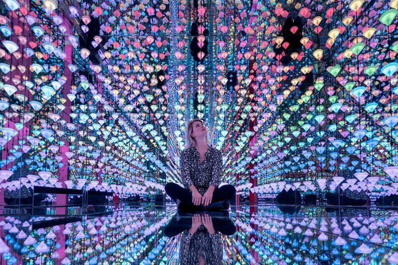 Go City Amsterdam Pass: 40+ Attractions including Keukenhof - Keukenhof and the spring-only plan