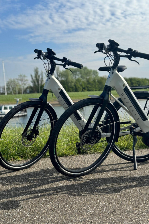 Goes: Full-Day E-Bike Rental - Who should book this ride