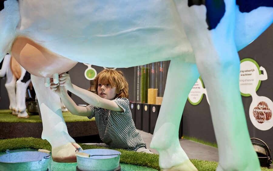 Gouda: Gouda Cheese Experience Entry Ticket - Who should visit the Gouda Cheese Experience