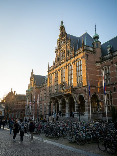 Groningen: Walking Tour with Local Guide - Weather, pace, and group size