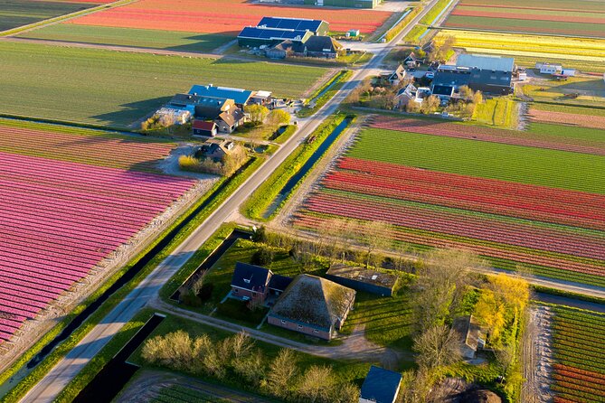 Guided Bike Tour along the Dutch Tulip Fields in Noord Holland - Key points to know before booking