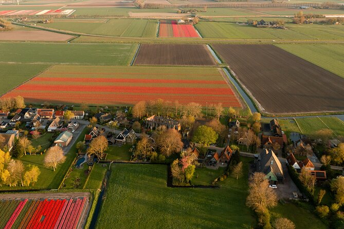 Guided Bike Tour along the Dutch Tulip Fields in Noord Holland - Why Schagen is a better starting point than a flower park
