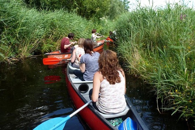 Guided Canoe Adventure with Picnic Lunch in Waterland from Amsterdam - A picnic on an island in the reserve