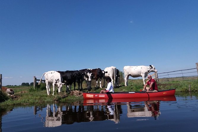 Guided Canoe Adventure with Picnic Lunch in Waterland from Amsterdam - Who should book this canoe adventure?