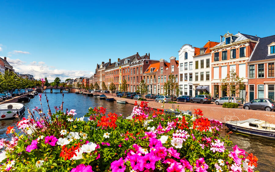 Haarlem Highlights Bike Tour - Is $35 a fair price?