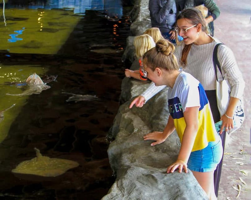 Harderwijk: Dolfinarium Entry Ticket - What the $28 ticket really buys you
