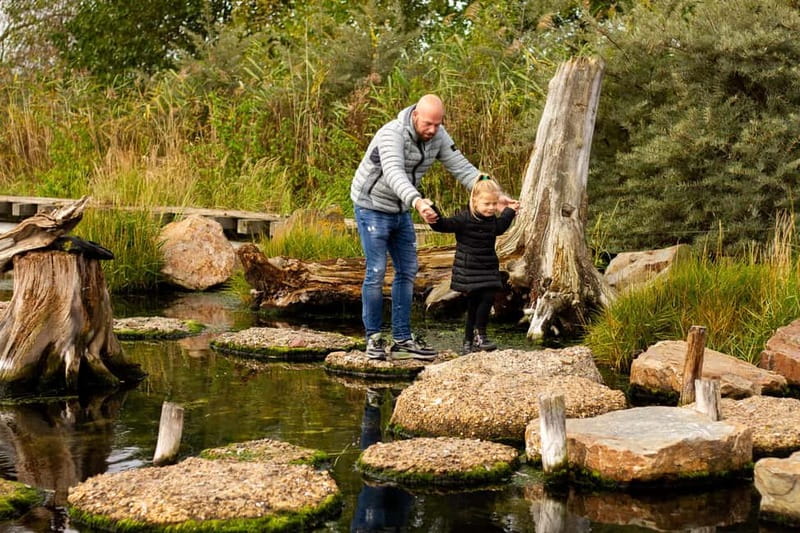 Harderwijk: Dolfinarium Entry Ticket - How to plan a full day at the park