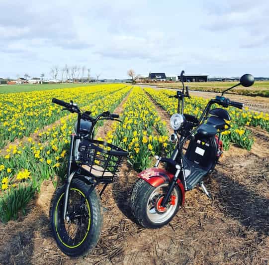 Hillegom: E-Scooter or E-Bike Rental in the Bulb Region - Starting near Hillegom train station