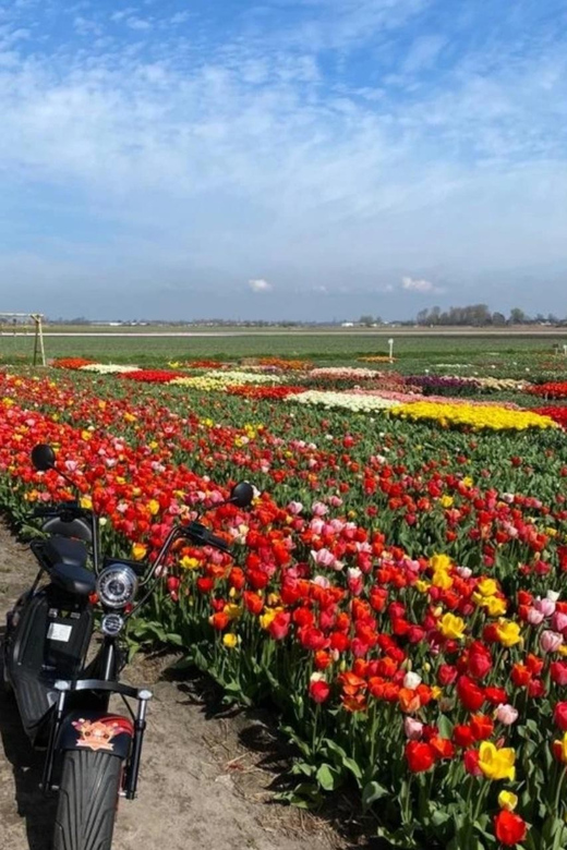 Hillegom: E-Scooter or E-Bike Rental in the Bulb Region - Getting comfortable before the ride