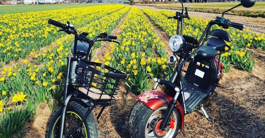 Hillegom: E-Scooter or E-Bike Rental in the Bulb Region - Choosing between an e-scooter and an e-bike