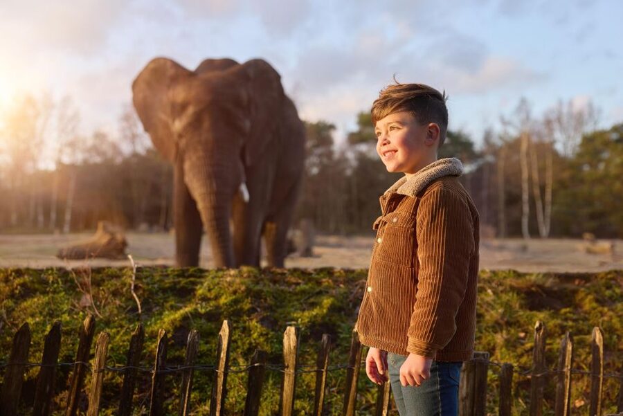 Hilvarenbeek: Safaripark Beekse Bergen Entry Ticket - Three ways to explore Beekse Bergen