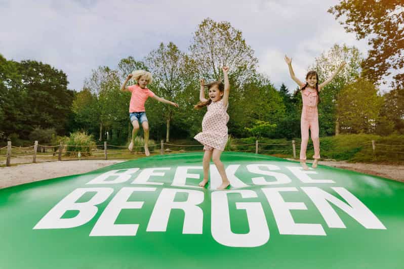 Hilvarenbeek: Speelland Beekse Bergen Entrance Ticket - Should you book Speelland Beekse Bergen?