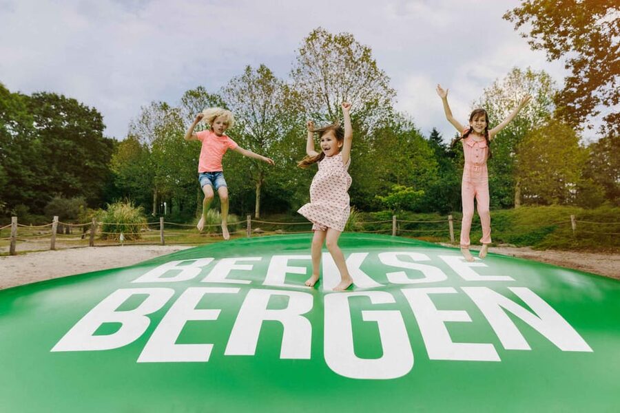 Hilvarenbeek: Speelland Beekse Bergen Entrance Ticket - Water attractions for confident swimmers