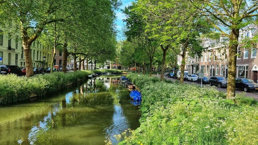 Historical Utrecht: Private Walking Tour with a Local Guide - From Roman origins to medieval power