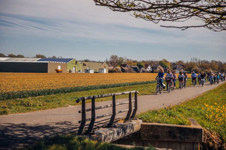 Keukenhof: Flower Fields Small-Group Cultural Bike Tour - Key points to know before booking