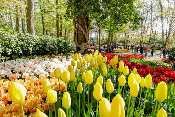 Keukenhof, Flower Fields, Volendam and Zaanse Schans Small-Group Tour - Why Keukenhof makes this nine-hour outing worthwhile