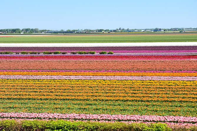 Keukenhof, Flower Fields, Volendam and Zaanse Schans Small-Group Tour - What is included for $40