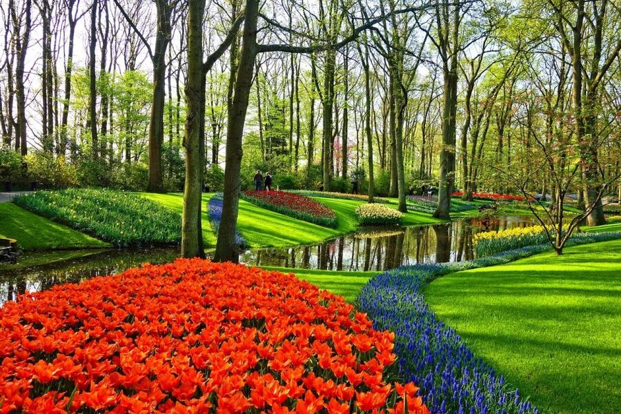 Keukenhof Gardens and Tulip Experience Tour from Amsterdam - Accessibility, pets, and practical details